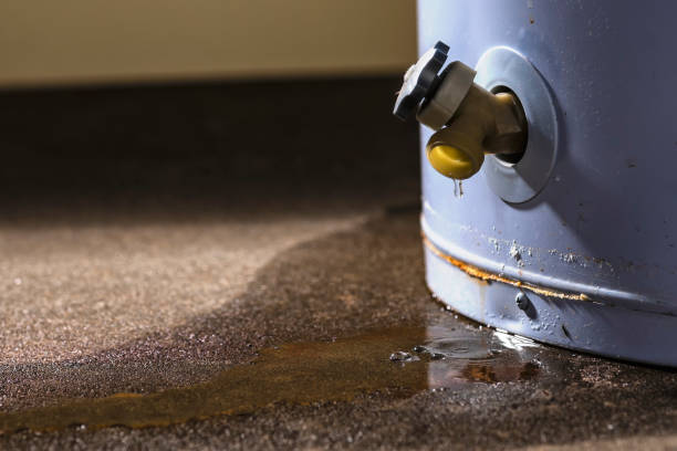 Best Flood restoration services  in Yardley, PA