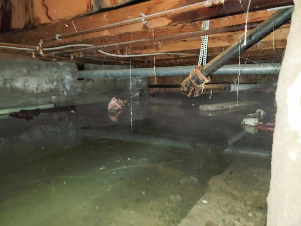 Best Flood damage cleanup  in Yardley, PA