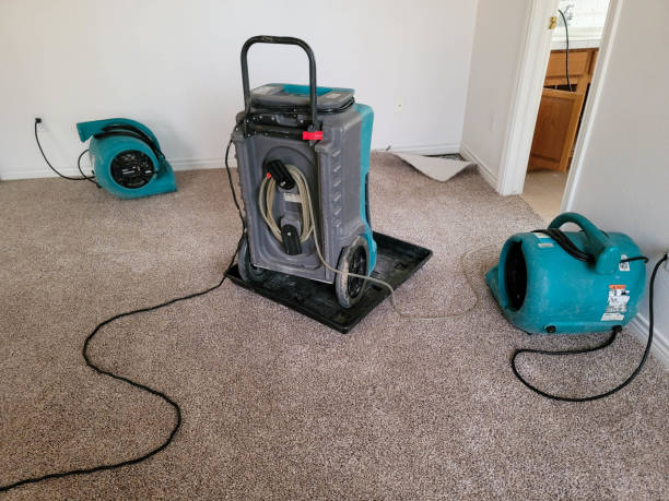 Best Basement water damage restoration  in Yardley, PA