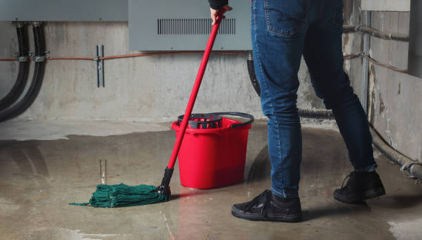 Best Water damage cleanup near me  in Yardley, PA