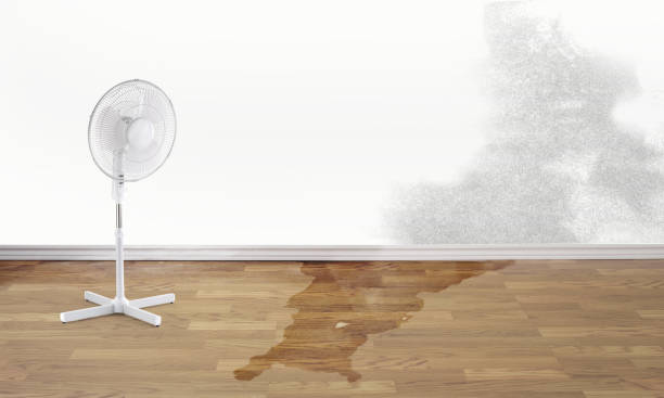 Best 24/7 water damage repair  in Yardley, PA