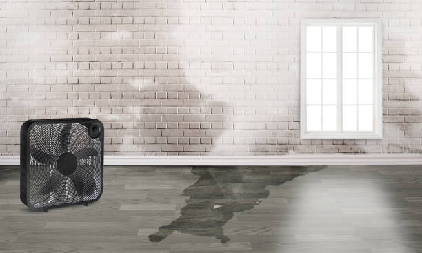 Best Residential water damage restoration  in Yardley, PA